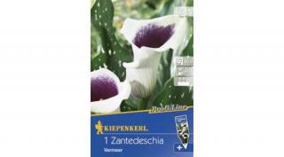 Kiepenkerl Kála Vermeer 5db/cs