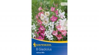 Kiepenkerl Kardvirág gumó mini Nanus mix 8db/cs