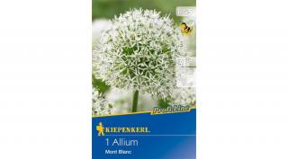 Kiepenkerl Profi Line Allium Mont Black díszhagyma virághagymák 2db