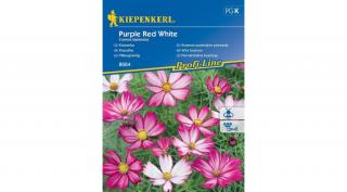 Kiepenkerl Purple Red White pillangóvirág vetőmag