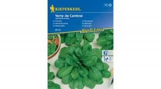 Kiepenkerl Verte de Cambrai madársaláta vetőmag