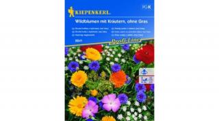 Kiepenkerl wildblumen Vadvirág magkeverék