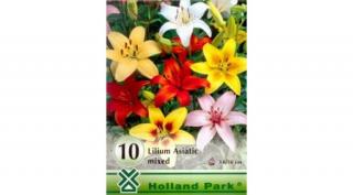 Liliom Asiatic mixed 5db-os