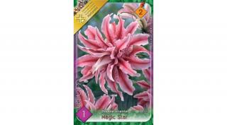 Liliom Magic Star 1-db-os