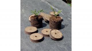 Nortene Coco-Tab Dehidratált kókuszrosttabletta, ültetőkorong 20db/csomag, 4 cm átmérő