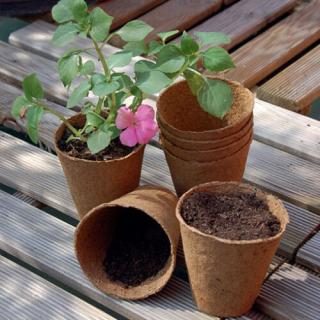 Nortene Growing pots  tőzegcserép 6cm 24db/csomag