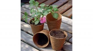 Nortene Growing pots  tőzegcserép 8cm16db/csomag