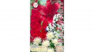 Tavaszi virághagyma kollekció Red White 44db-os