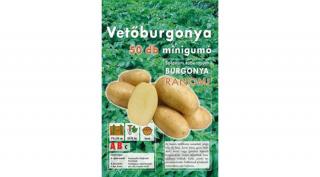 Vetőburgonya Colomba 50 szemes