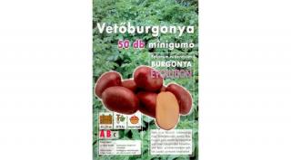 Vetőburgonya Evolution Minigumó 50db/cs