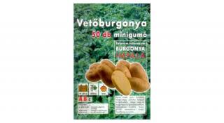 Vetőburgonya Impala Minigumó 50db/cs