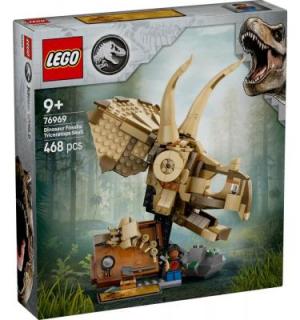 Dinómaradványok: Triceratops-koponya 76969
