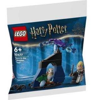 Draco A Tiltott Rengetegben - polybag 30677