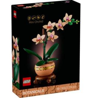 Mini orchidea 10343