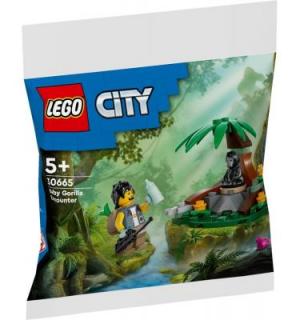 Találkozás a kisgorillával - polybag 30665
