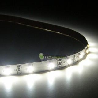 AURORA 60 SMD3528 4,8 W/m beltéri LED szalag, hidegfehér 3évG