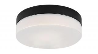 Rábalux GAELO IP44 LED 15W fürdőszobai-kültéri fém mennyezeti lámpa 5évG 75025