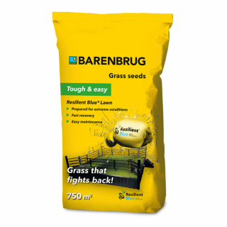 Resilient Blue Lawn fűmag 15kg