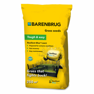 Resilient Blue Lawn fűmag 5kg