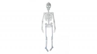 Halloween csontváz műanyag, világító150c