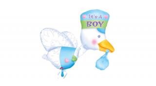 It is a Boy - Bundle of Joy Stork - Supe