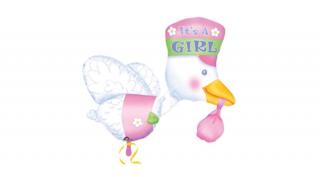 It is a Girl - Bundle of Joy Stork - Sup