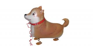 Sétáló shiba-inu fólia lufi