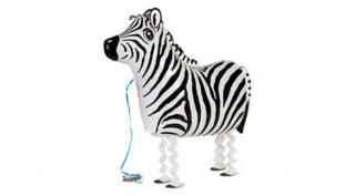Sétáló Zebra Léggömb