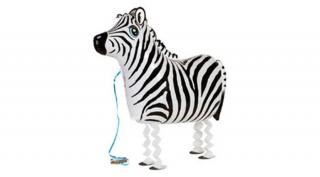 Sétáló zebra