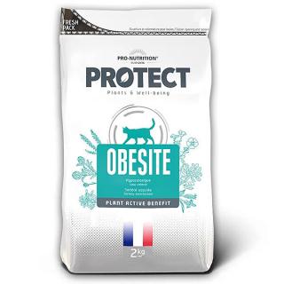 Pro-Nutrition Protect Cat Obesité 2kg