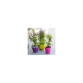 Nortene Steel Plast Color növénykaró 60 cm
