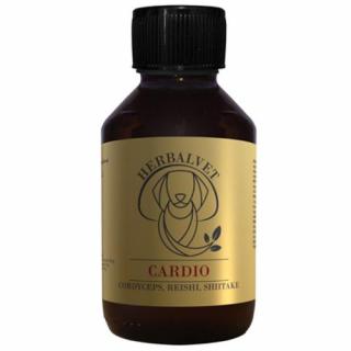 CARDIO gyógygomba kivonat (100 ml)