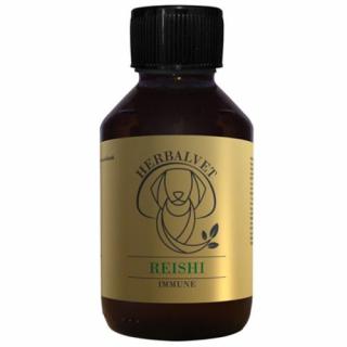 REISHI gyógygomba kivonat (100 ml)