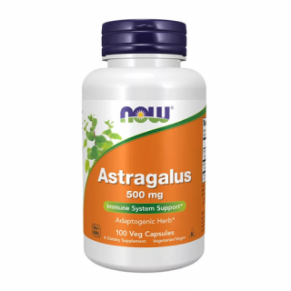 ASTRAGALUS 500 MG