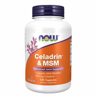 Celadrin  MSM 500 mg (120 kapszula) - izületerősítő