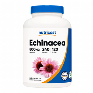 Echinacea 800 mg (240 kapszula) - Bíbor kasvirág