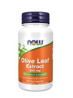 OLIVE LEAF EXTRACT 500 MG