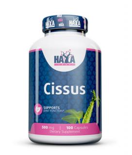 Cissus 500mg 100 kapsz. HAYA LABS