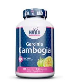 Garcinia Cambogia 500mg 90 kapsz. HAYA LABS