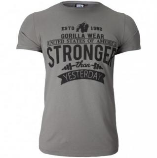 HOBBS T-SHIRT - GRAY (GRAY) [M]