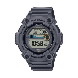 CASIO WS-1300H-8AVEF