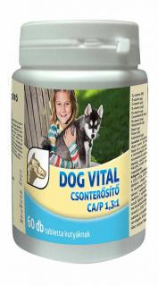 DOG VITAL Csonterősítő Ca/P 1,3:1 60db