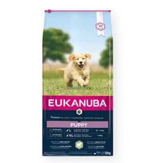 Eukanuba Puppy Large Bárány és Rizs 12kg