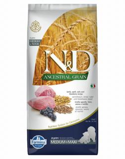 ND Dog Ancestral Grain Bárány és Áfonya Puppy Medium/Maxi 12kg