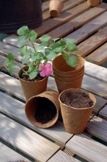 GROWING POTS tőzegcserép 24db/cs átm: 6cm