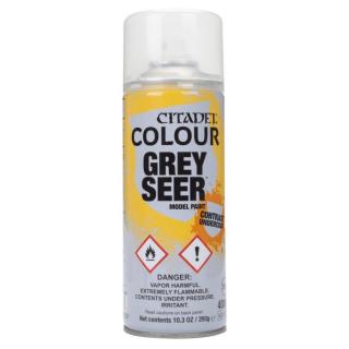 Grey Seer Spray Paint - 400 ml