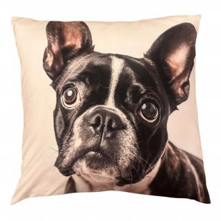 Boston terrier párna