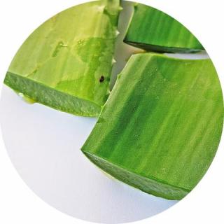 Aloe Vera 100% illatolaj 100 ml