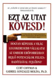 Ezt az utat kövesd!