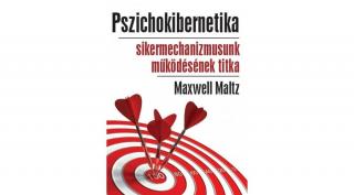 Pszichokibernetika (2010)